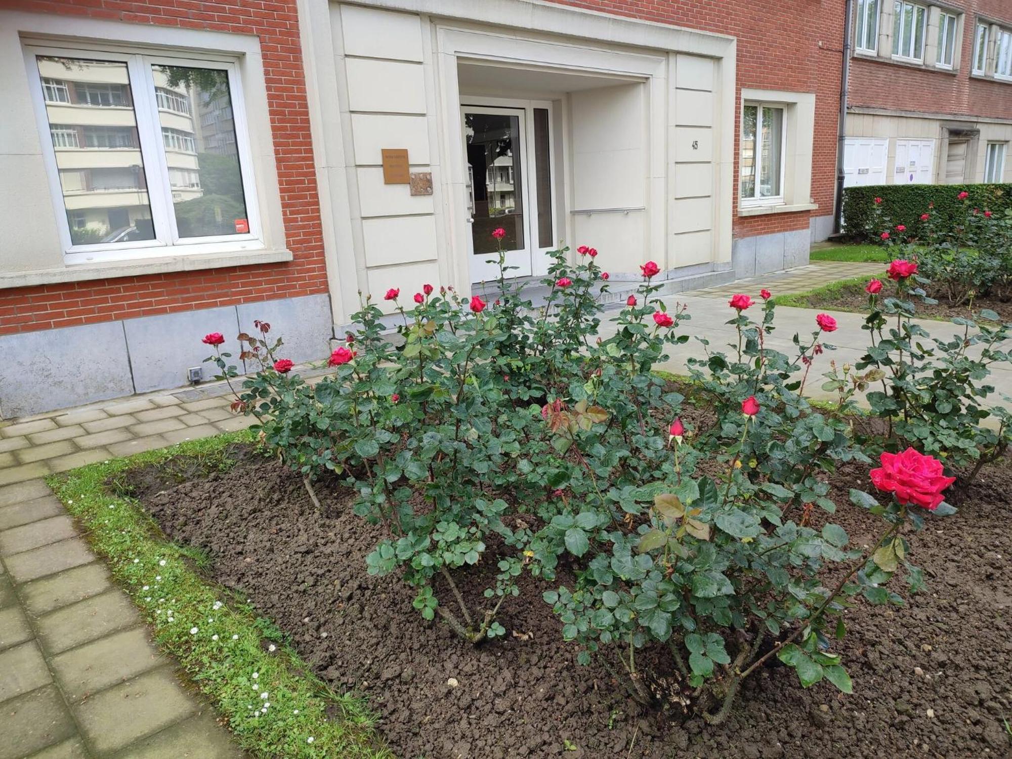 Charming In Etterbeek 70 M² With Balcony * Brüssel